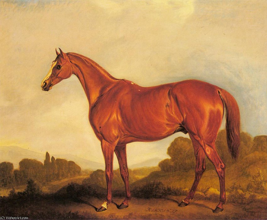 Portrait Of The Racehorse Harkaway — John Ferneley, Snr
