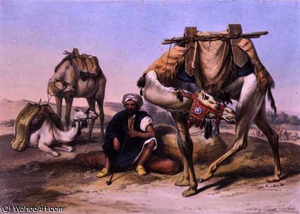 Camels Resting In The Sherkiyeh — Émile Prisse D'avennes