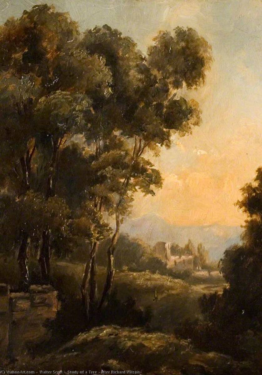 Study Of A Tree (after Richard Wilson) — Walter Scott