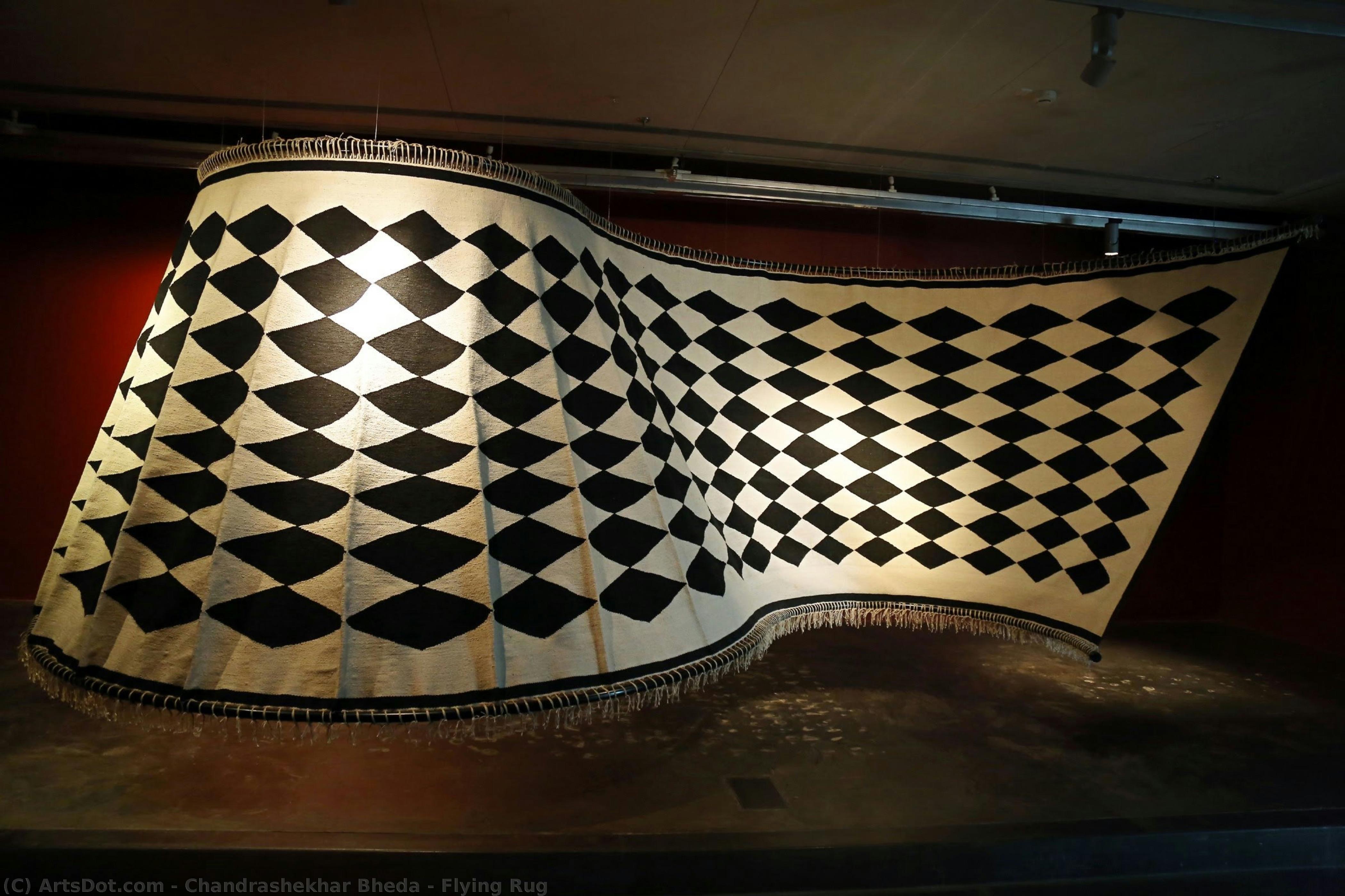 Flying Rug — Chandrashekhar Bheda