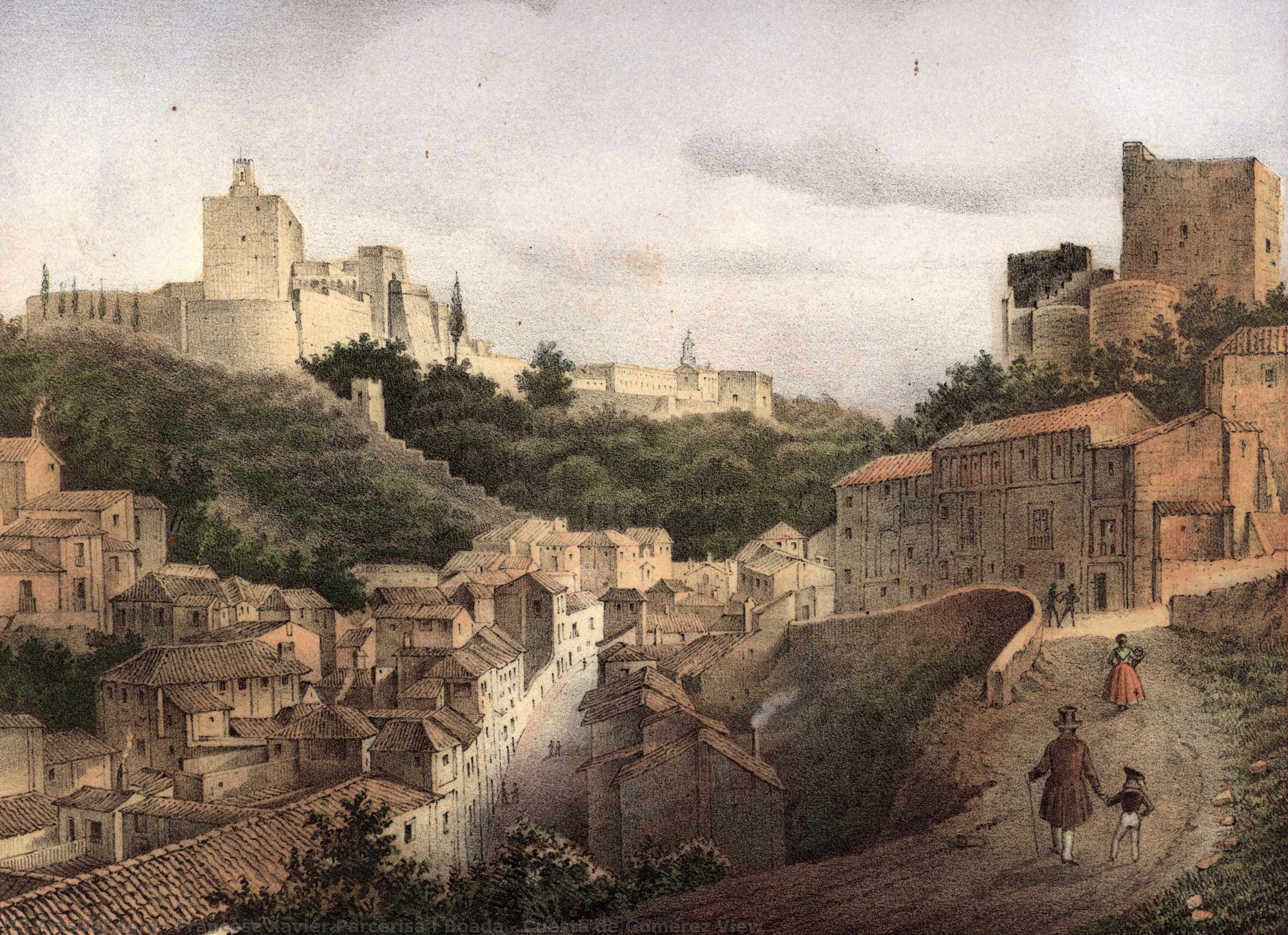 Cuesta De Gomérez View — Francesc Xavier Parcerisa I Boada