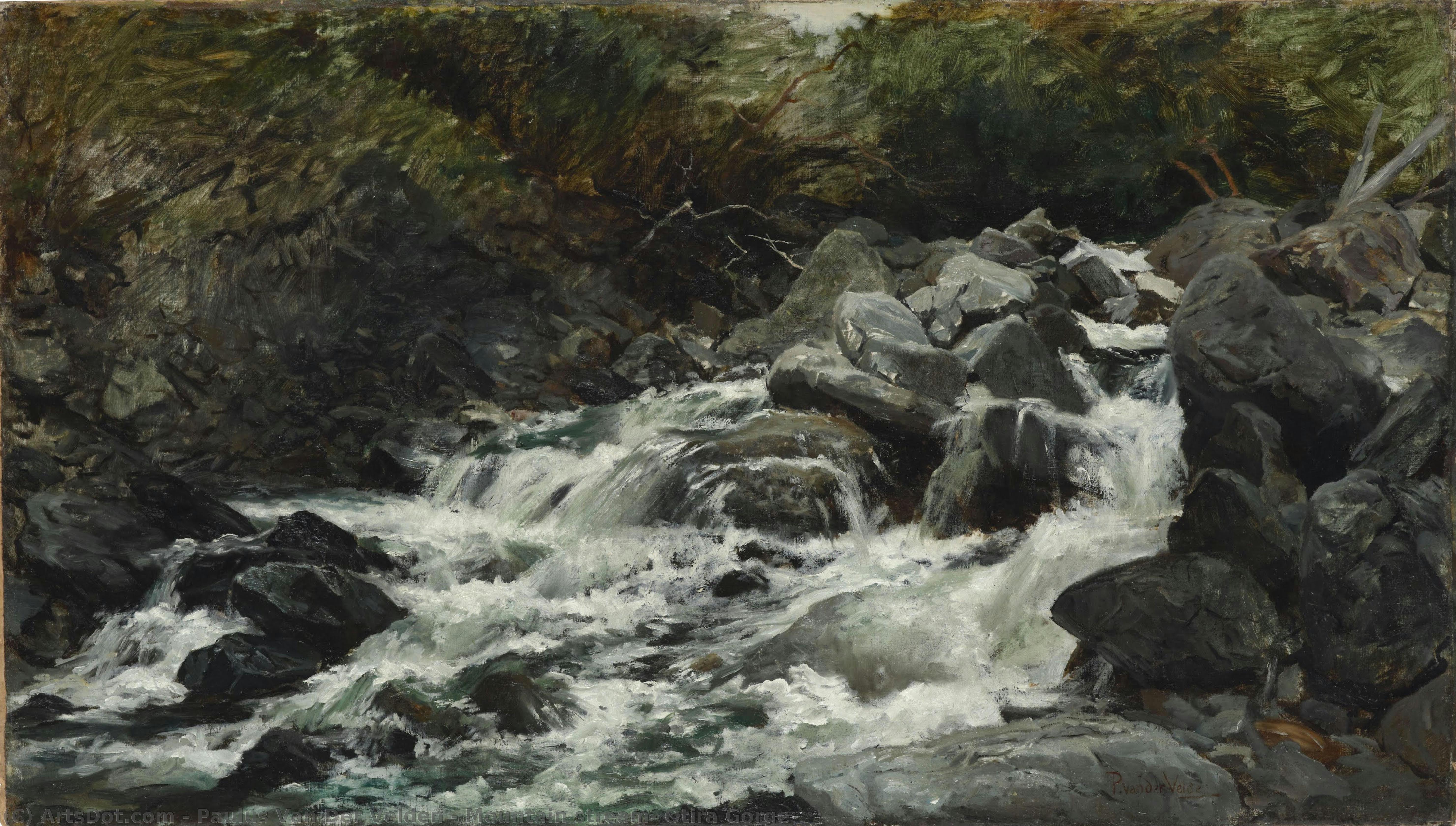 Mountain Stream, Otira Gorge — Paulus Van Der Velden