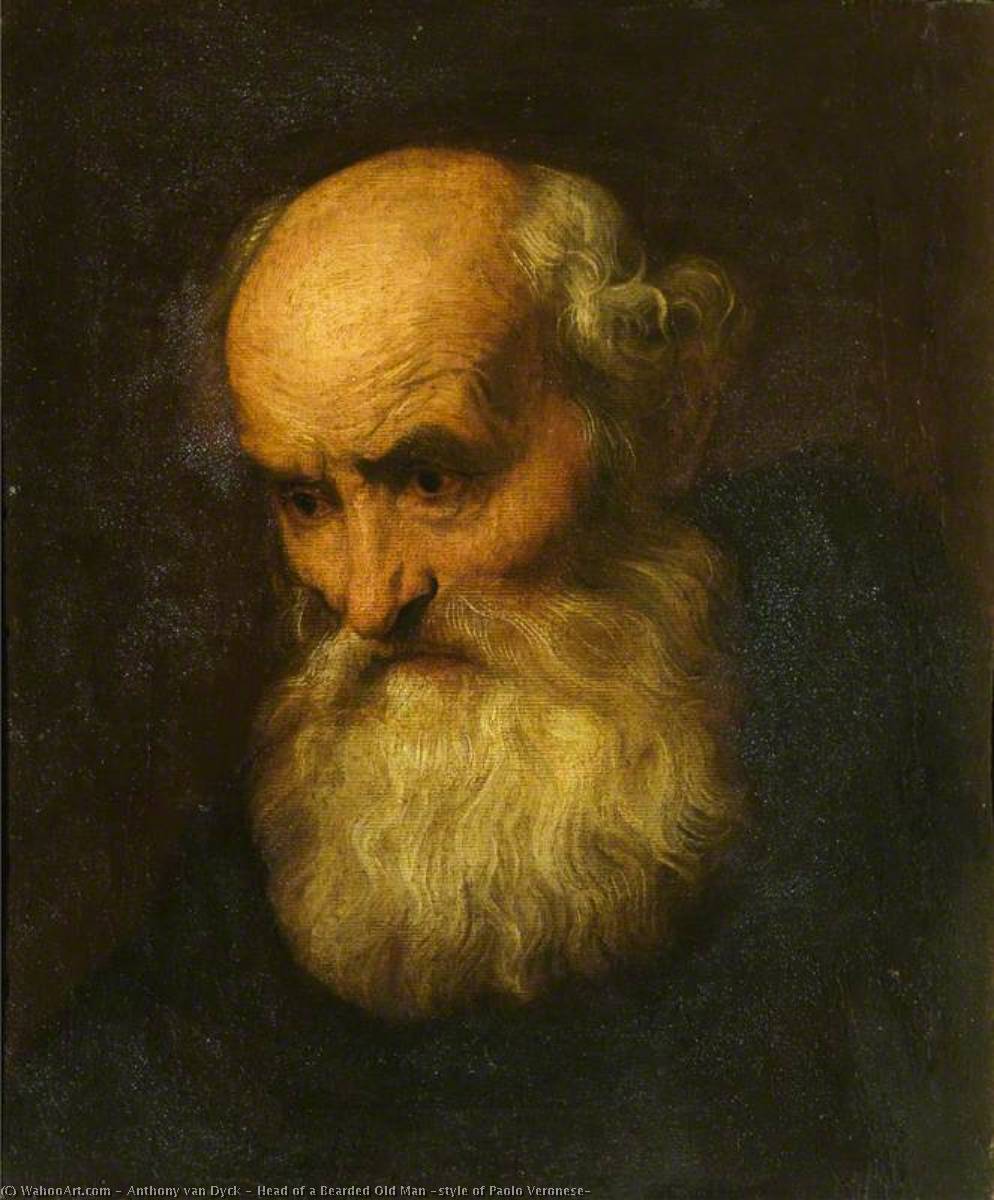 Head Of A Bearded Old Man (style Of Paolo Veronese) — Sir Anthony Van Dyck