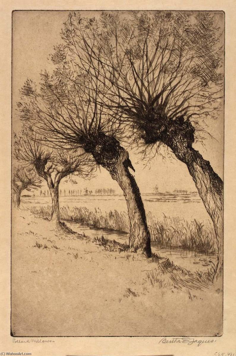 Pollard Willows, Rijsord, Holland — Bertha Evelyn Jaques