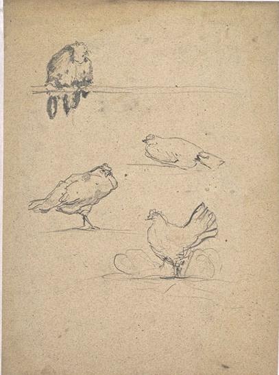 Sketch Of Chickens — Paul Camille Guigou