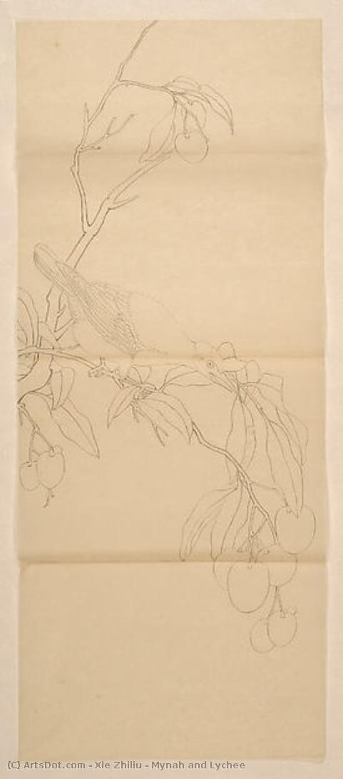Mynah And Lychee — Šie Žiliu