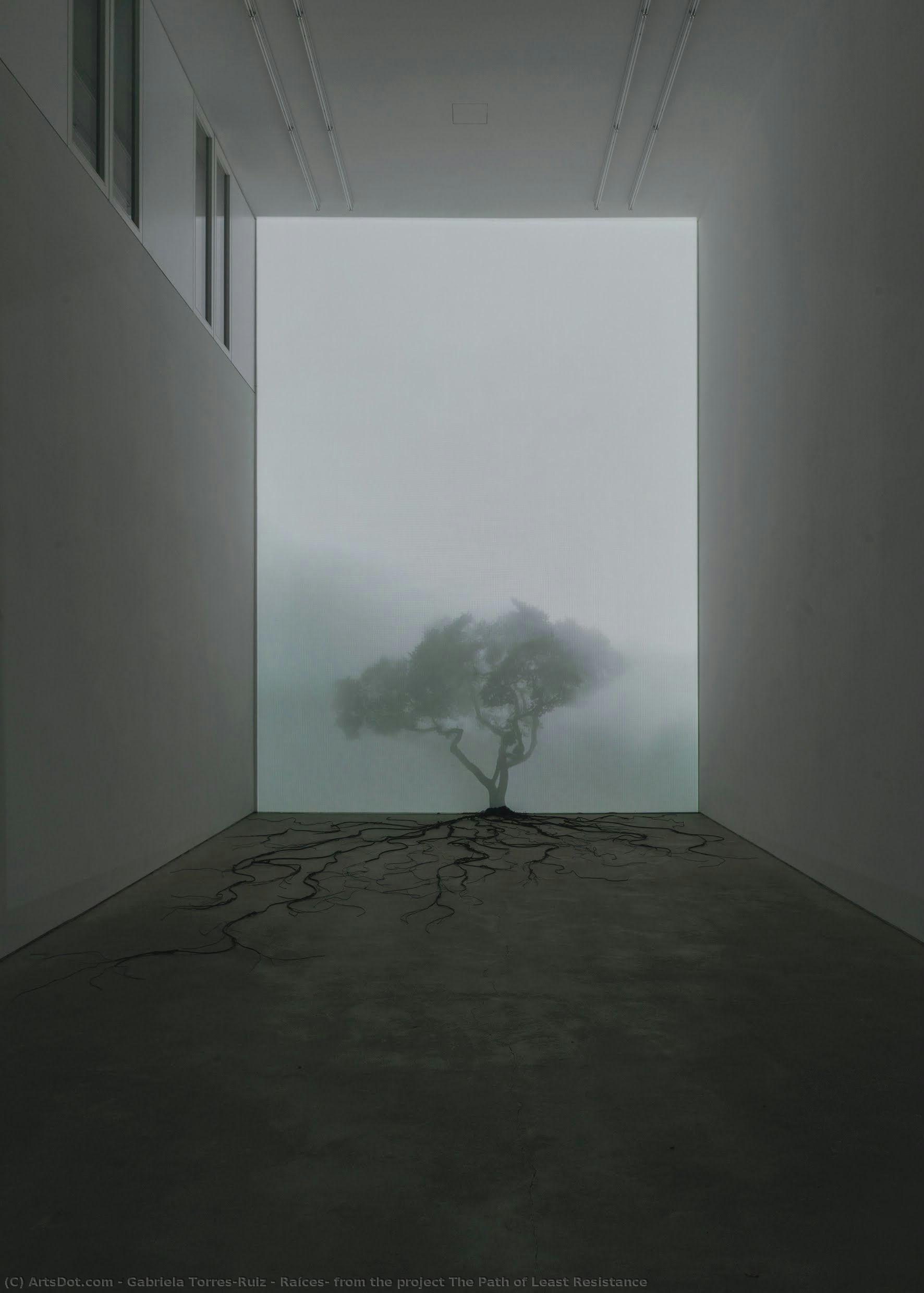Raíces, From The Project The Path Of Least Resistance — Gabriela Torres-ruiz