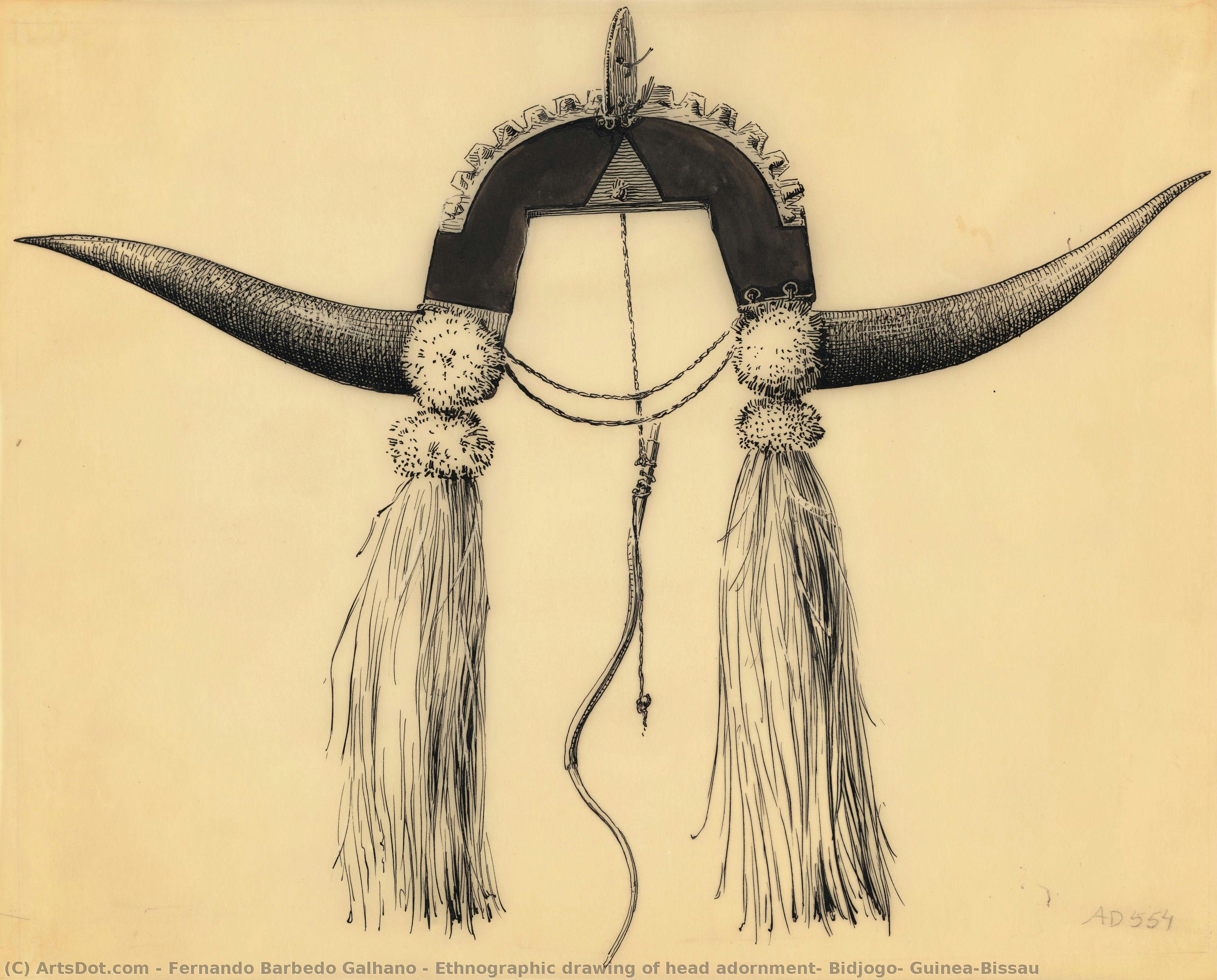 Ethnographic Drawing Of Head Adornment, Bidjogo, Guinea-bissau — Фернандо Барбедо Гаљано