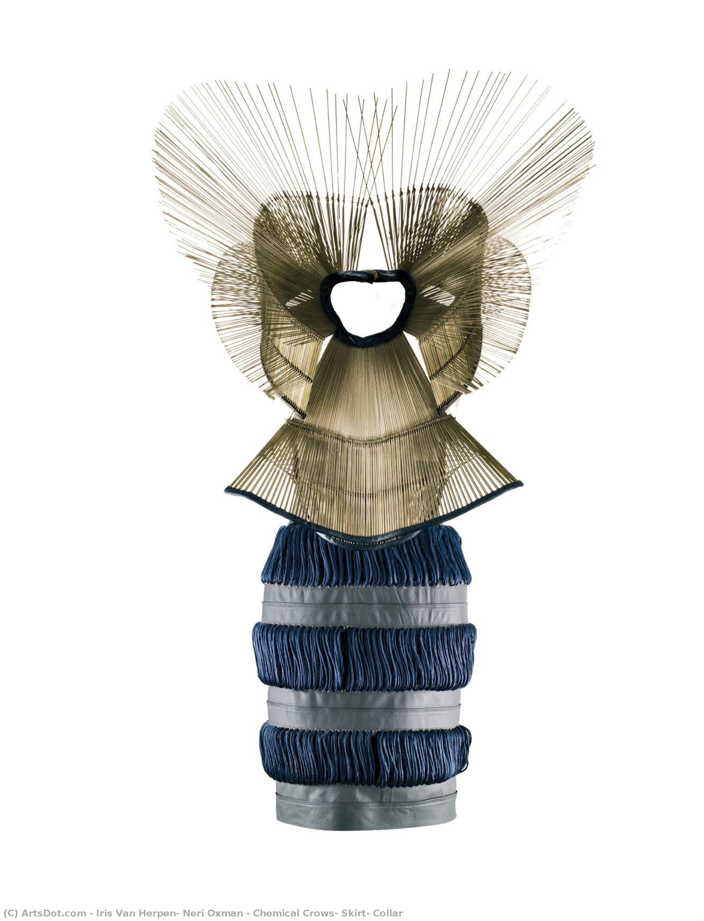 Chemical Crows, Skirt, Collar — Iris Van Herpen, Neri Oxman