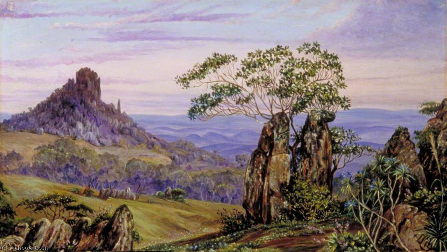 Las Rocas De Hierro De Casa Branca, Brasil — Marianne North