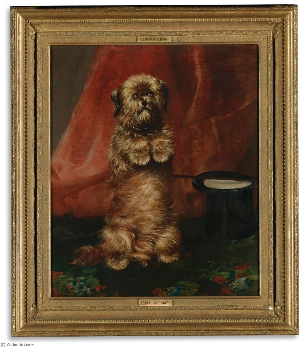 Sit Up Sir Ginger 1859 — Henry Barraud