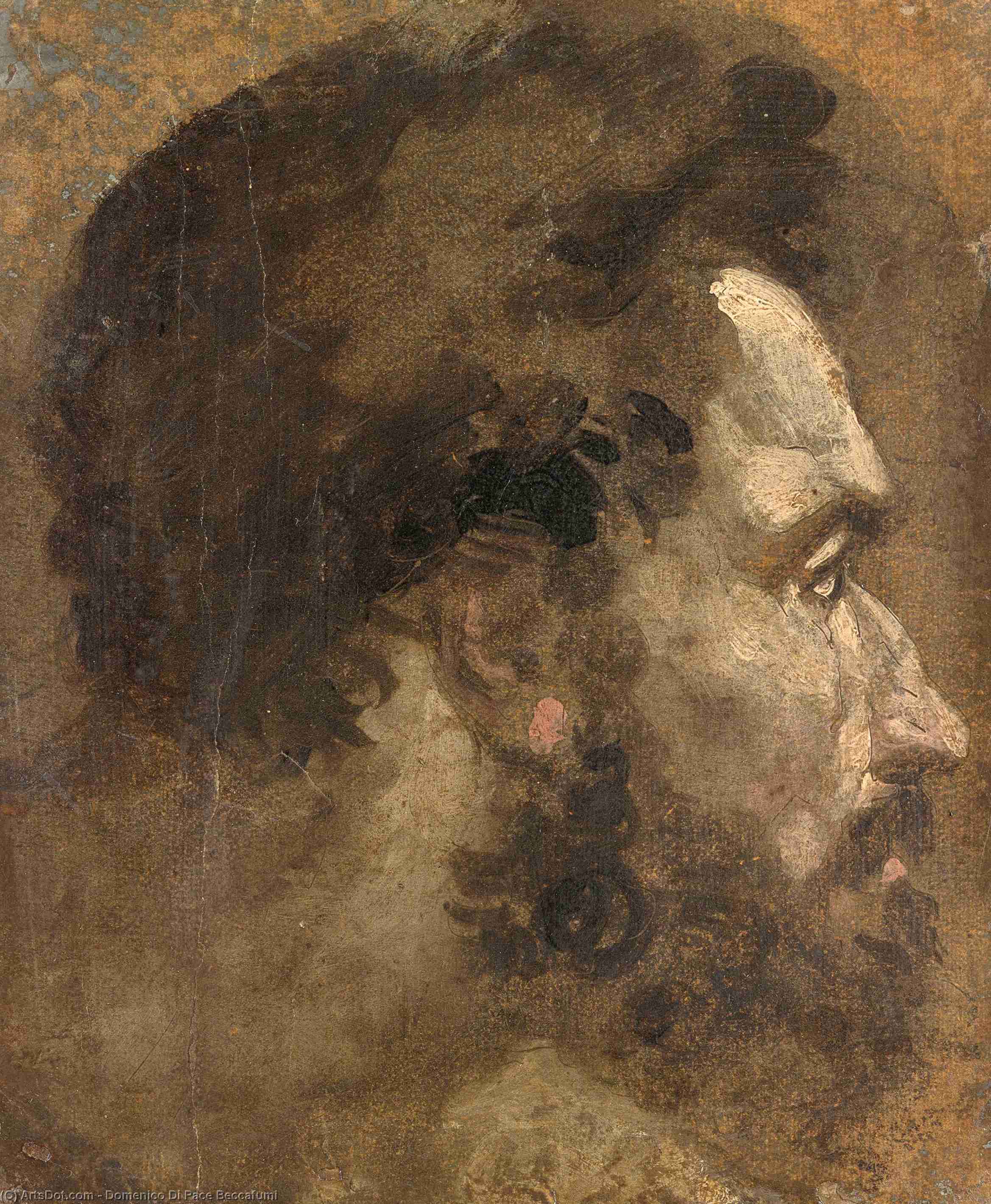 Head Of A Youth Seen In Profile — Domenico Di Pace Beccafumi