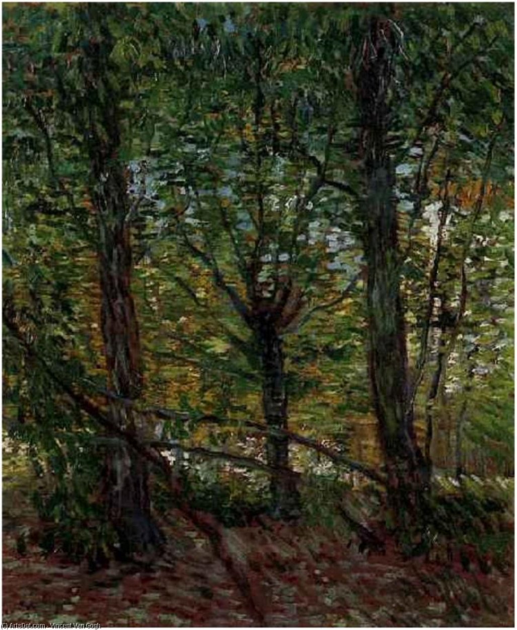 Árboles Y Bajo Crecimiento — Vincent Willem Van Gogh