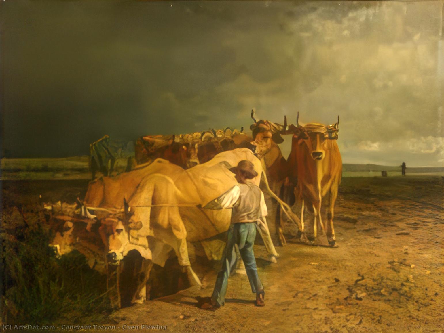 Oxen Plowing — Constant Troyon