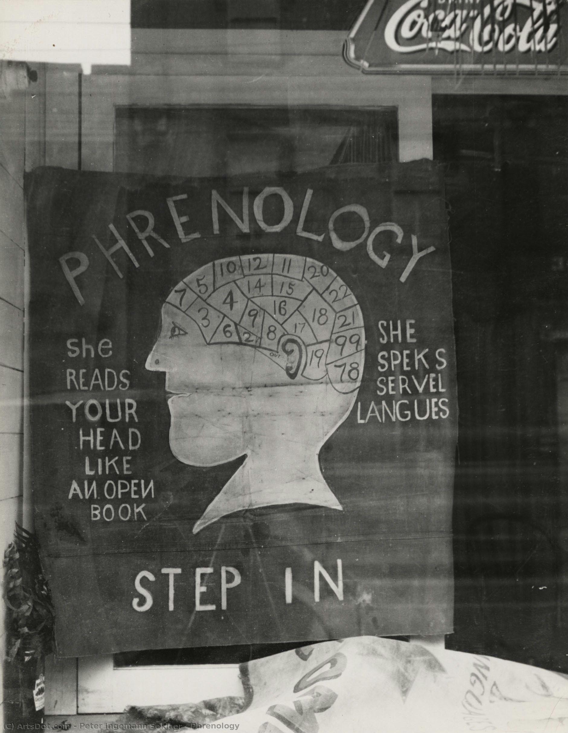Phrenology — Peter Ingemann Sekjaer