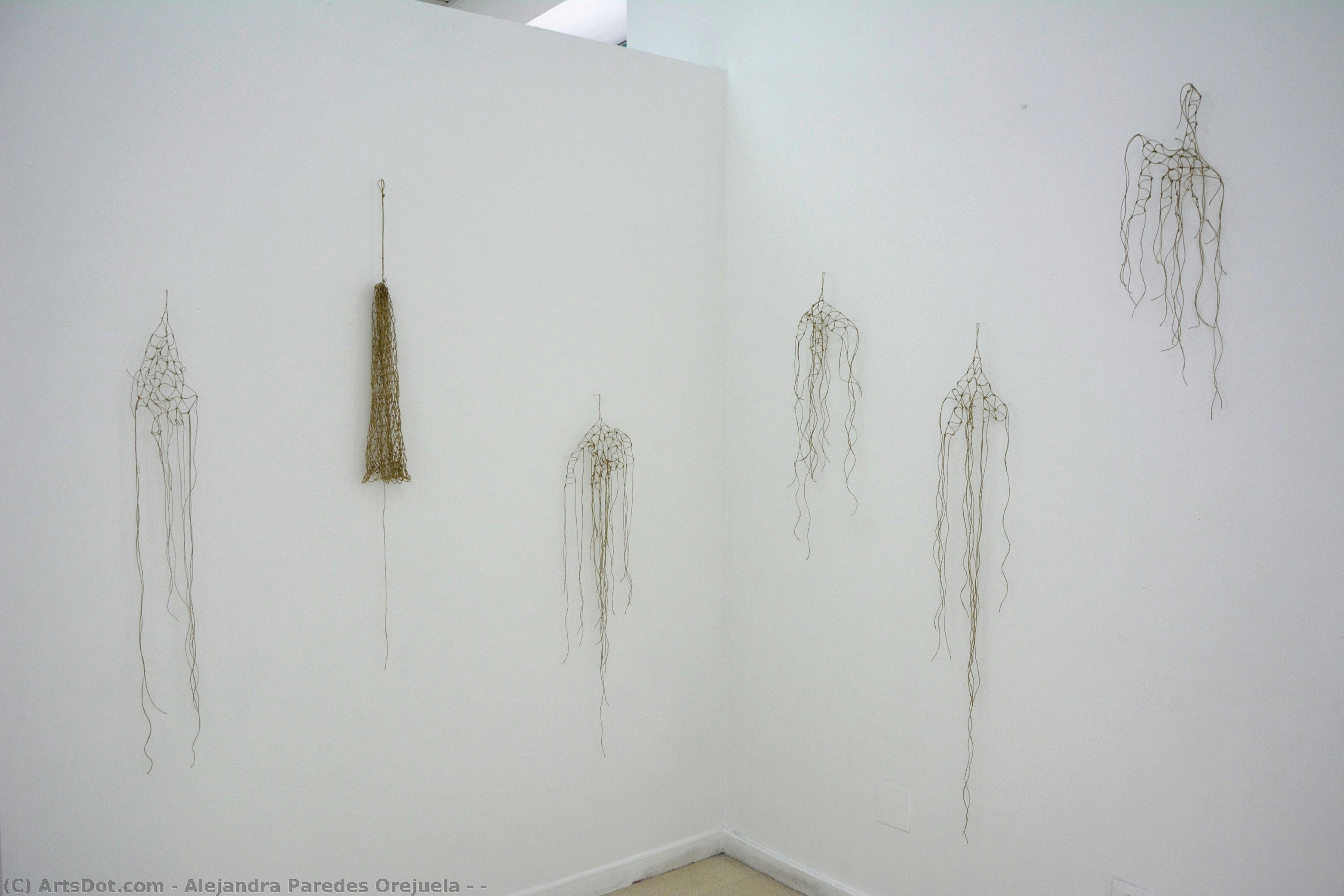 Untitled (d7hqy9) — Alejandra Paredes Orejuela