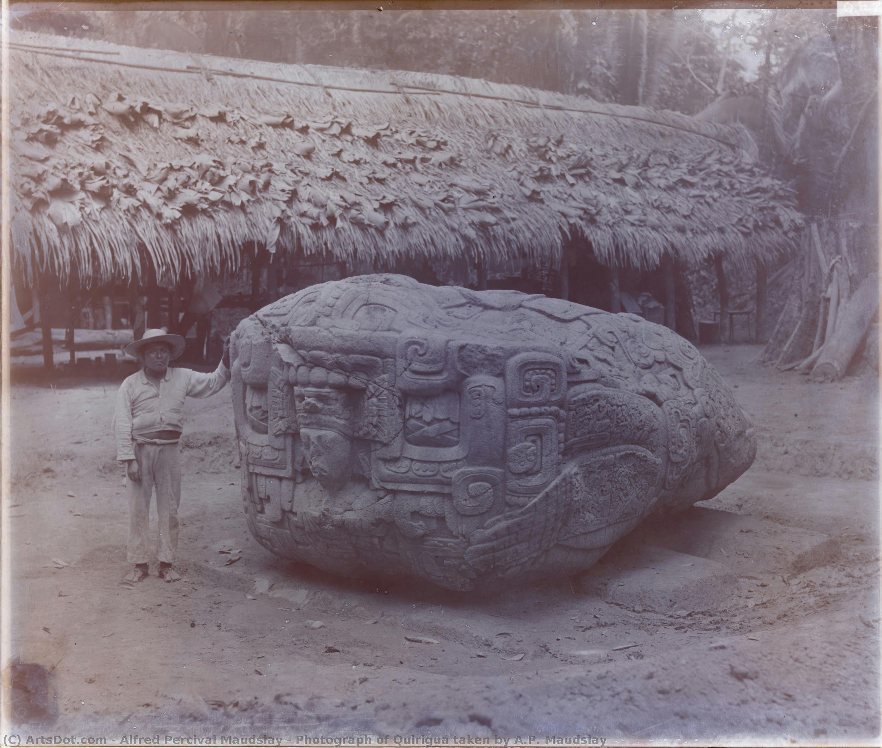 Photograph Of Quiriguá Taken By A.p. Maudslay — Alfred Percival Maudslay