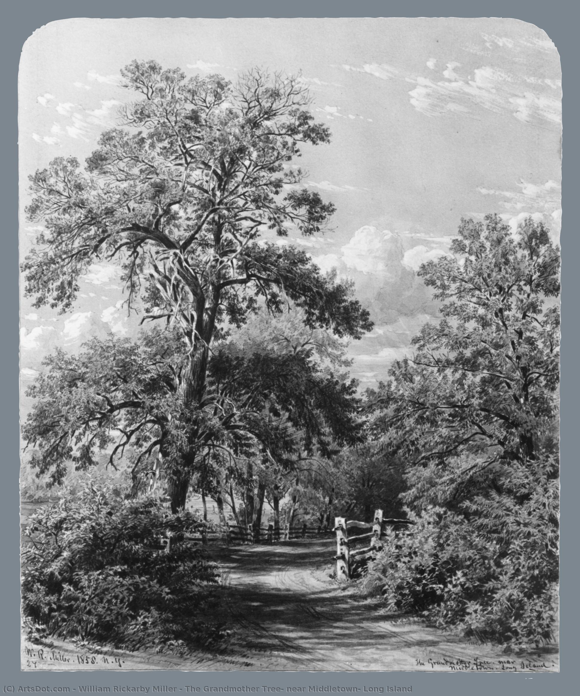 The Grandmother Tree, Near Middletown, Long Island — William Rickarby Miller