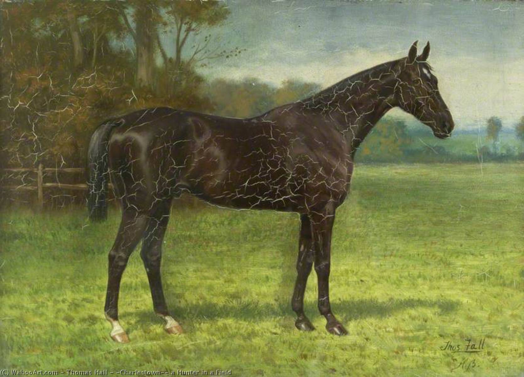 'charlestown', A Hunter In A Field — Thomas Hall