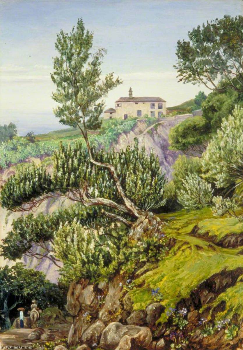 Altes Herrenhaus Von Castro, Teneriffa — Marianne North