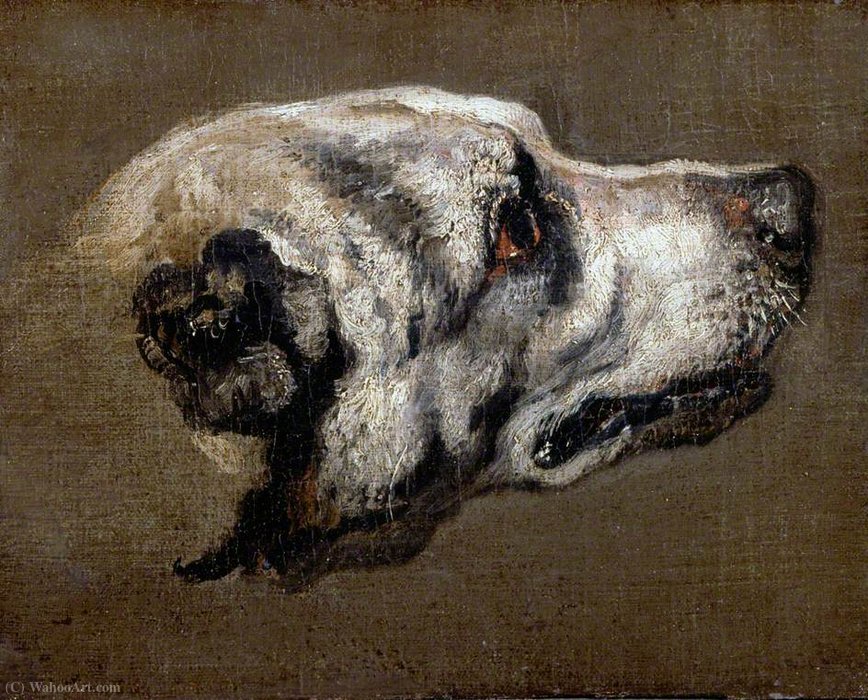 Head Of A Hound — Питер Буль