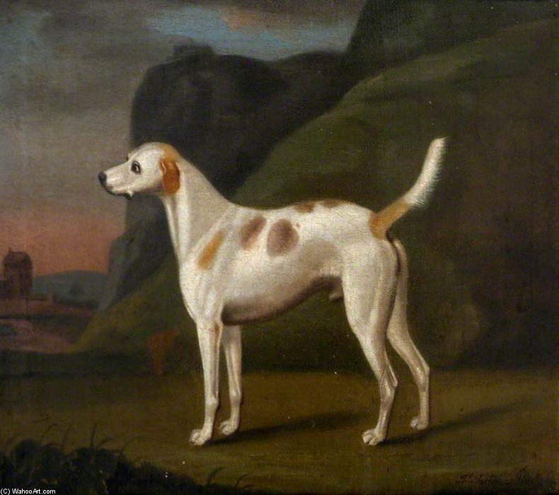 White Hound With Brown Spots — Francis Sartorius Ii (john Francis Sartorius)