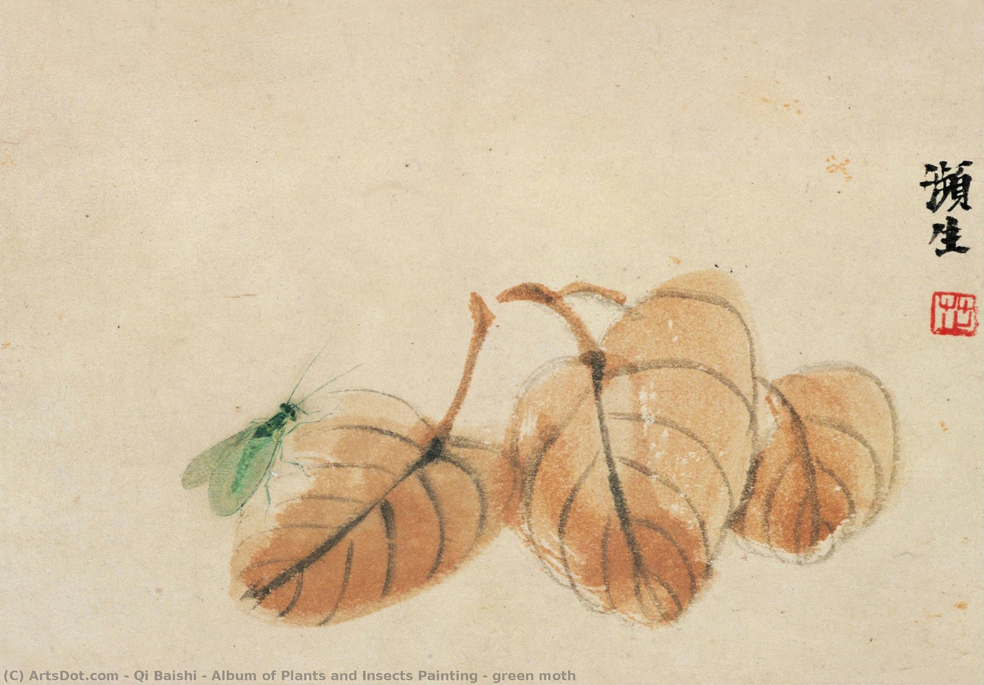 Album Of Plants And Insects Painting - Green Moth — Qi Baishi