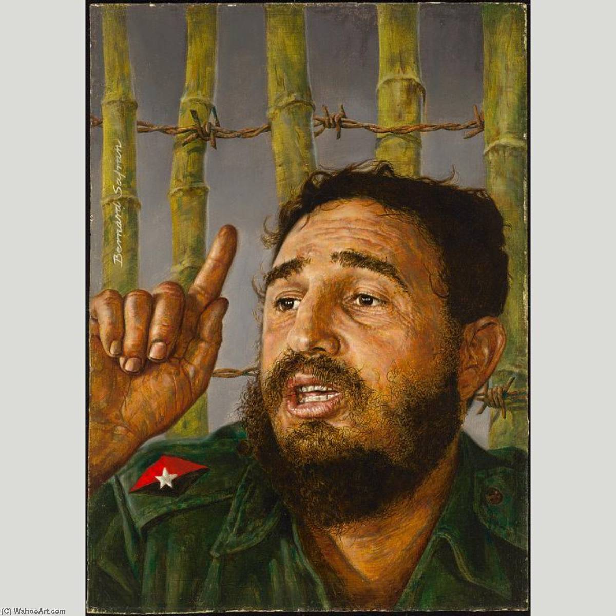 Fidel Castro — Bernard Safran