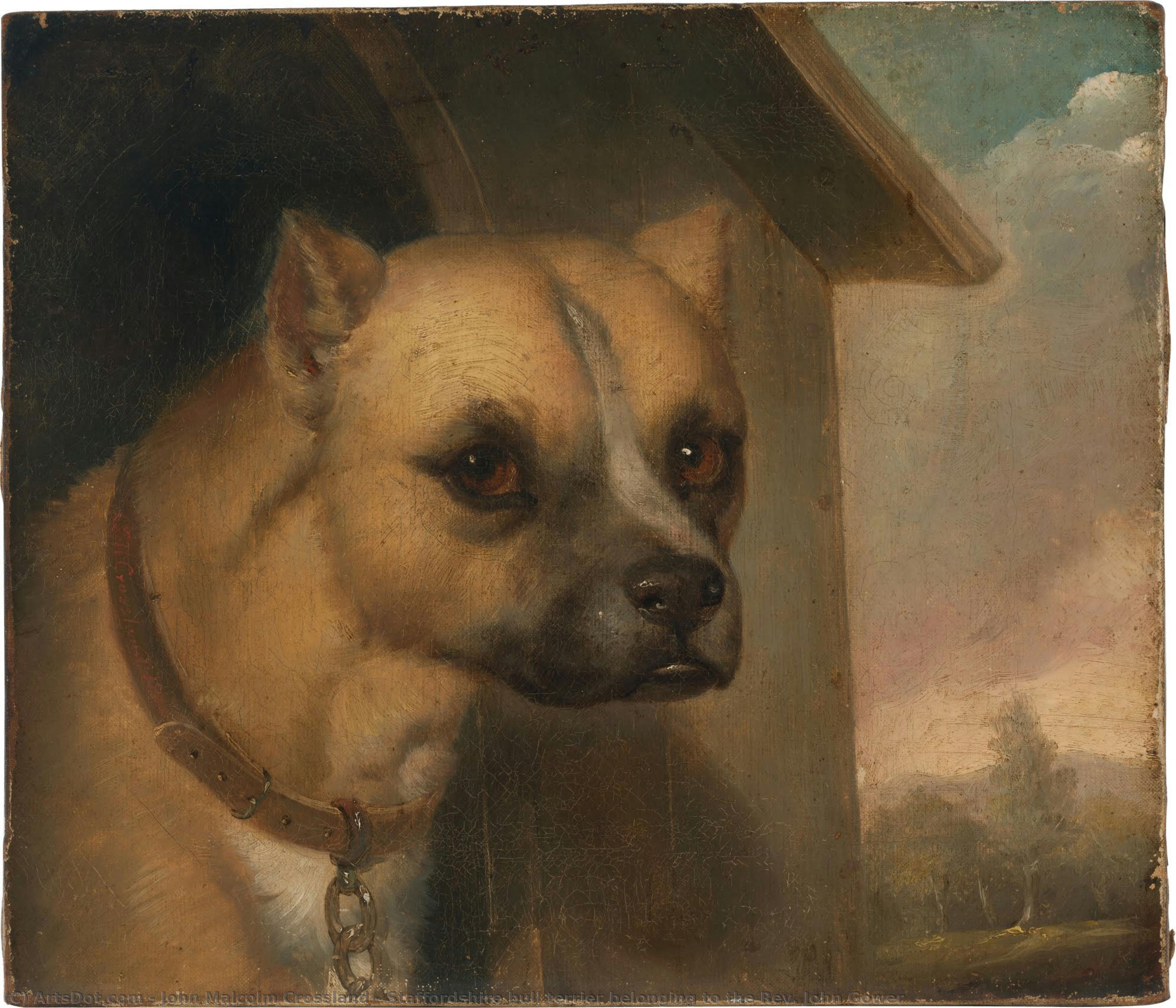 Staffordshire Bull Terrier Belonging To The Rev. John Gower — John Malcolm Crossland