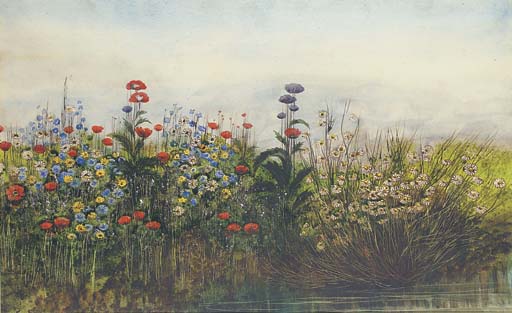 Poppies, Buttercups And Daisies — Andrew Nicholl