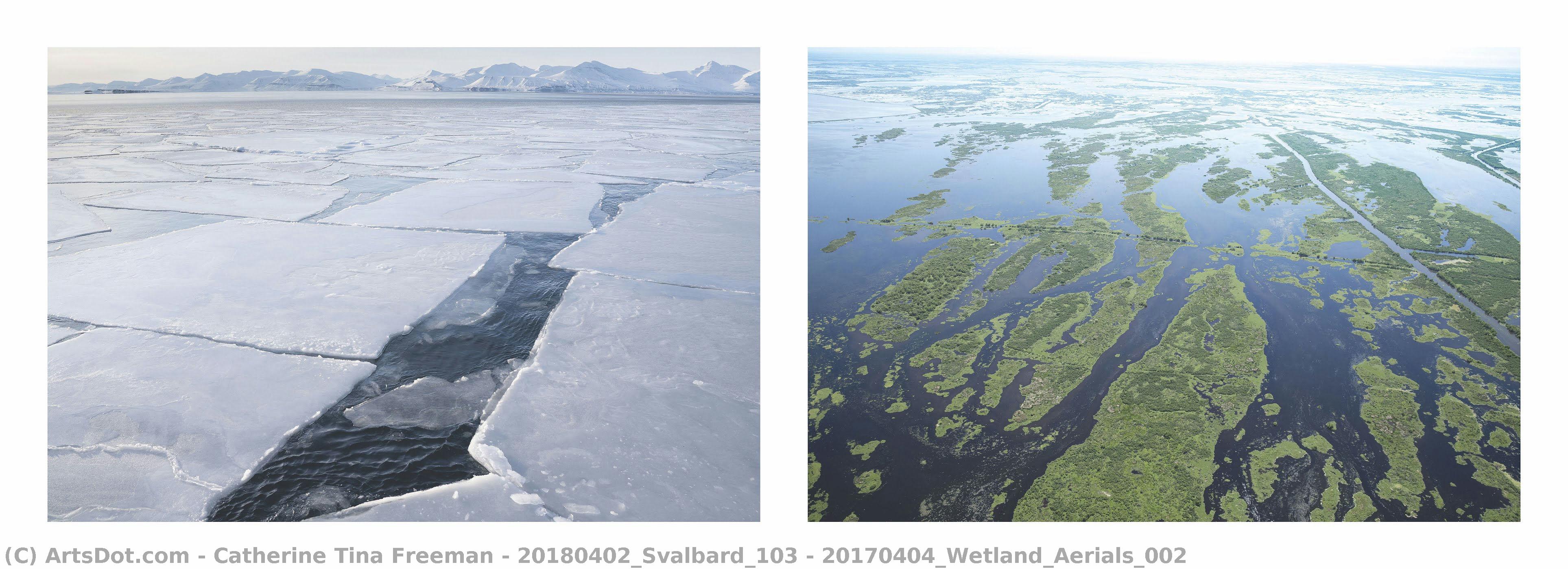 20180402_svalbard_103 / 20170404_wetland_aerials_002 — Catherine Tina Freeman