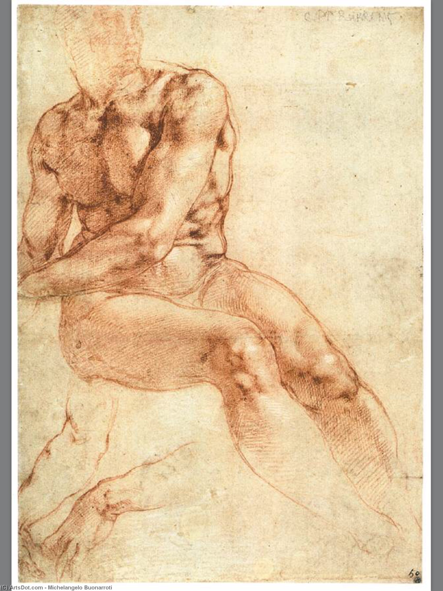 Niedere Studie Eines Sitzenden Jünglings (recto) — Michelangelo Buonarroti