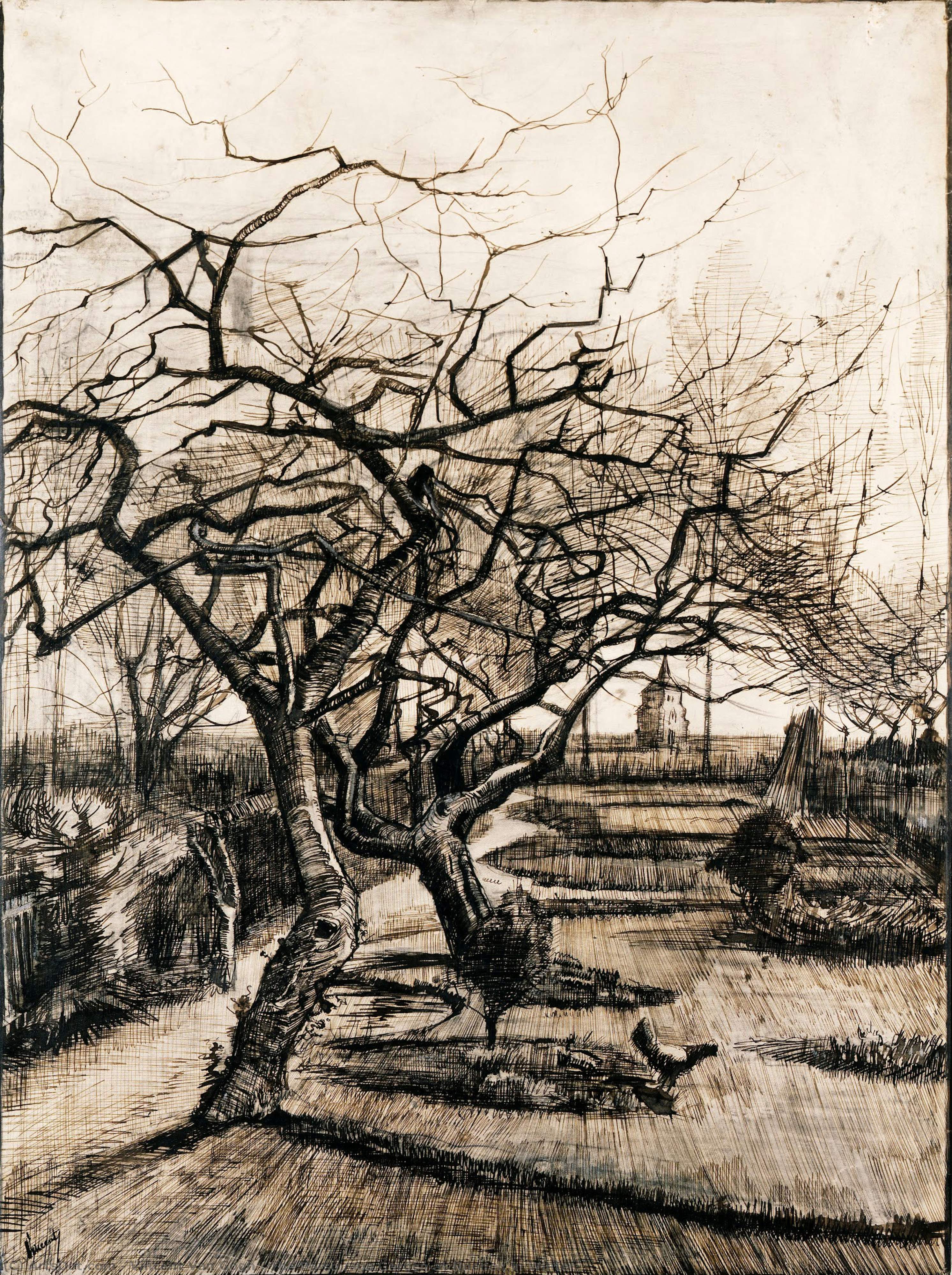 Der Pfarrersgarten In Nuenen Im Winter — Vincent Willem Van Gogh