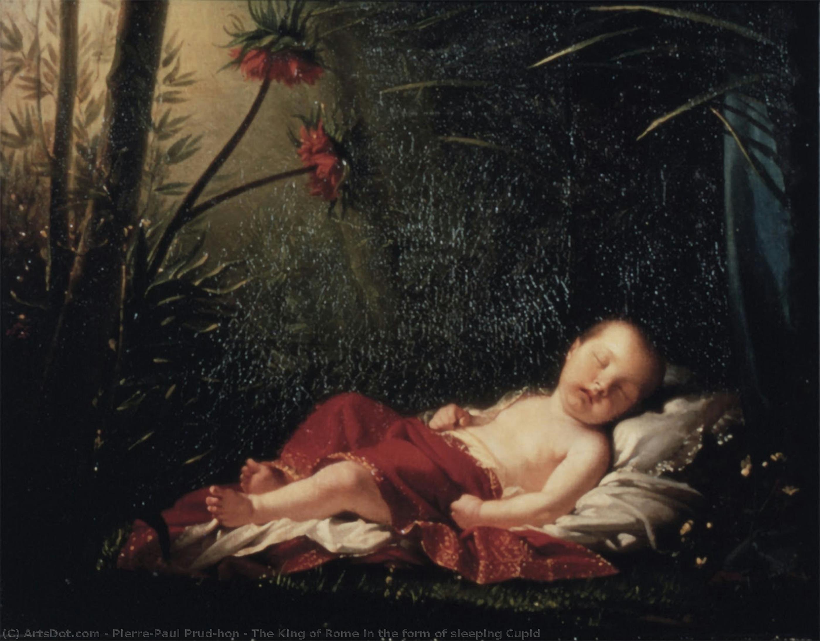 The King Of Rome In The Form Of Sleeping Cupid — ピエール＝ポール・プリュドン