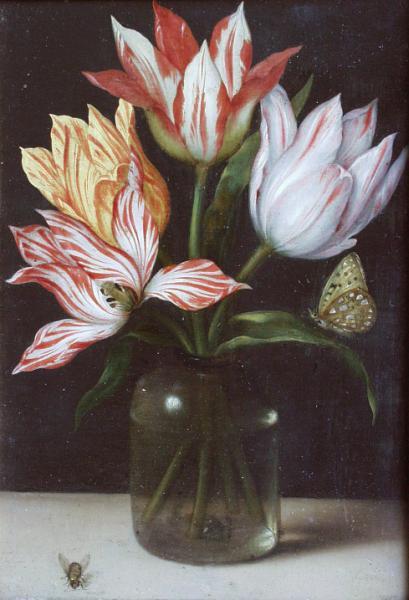 Glass With Four Tulips — Ambrosius The Younger Bosschaert