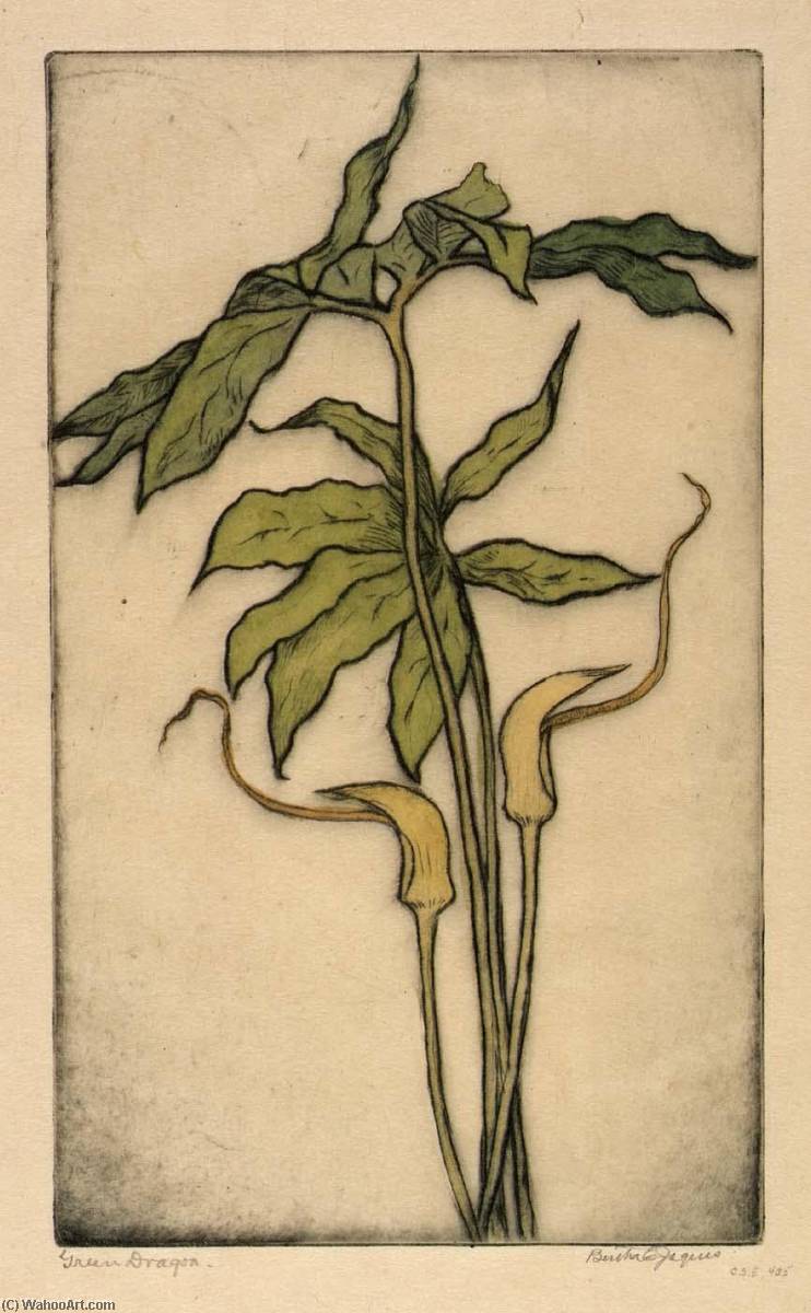Green Dragon — Bertha Evelyn Jaques
