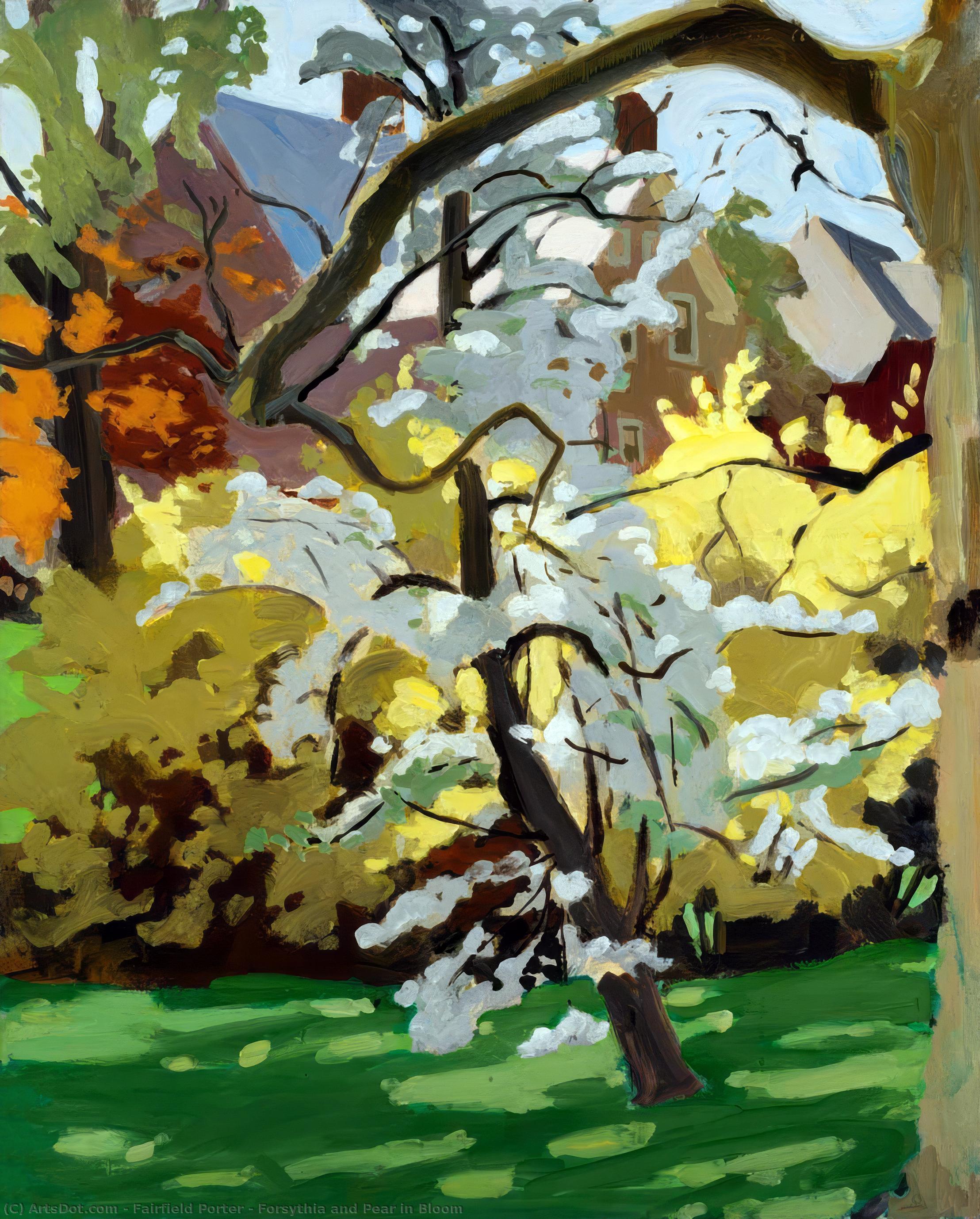 Forsythia And Pear In Bloom — Fairfield Porter