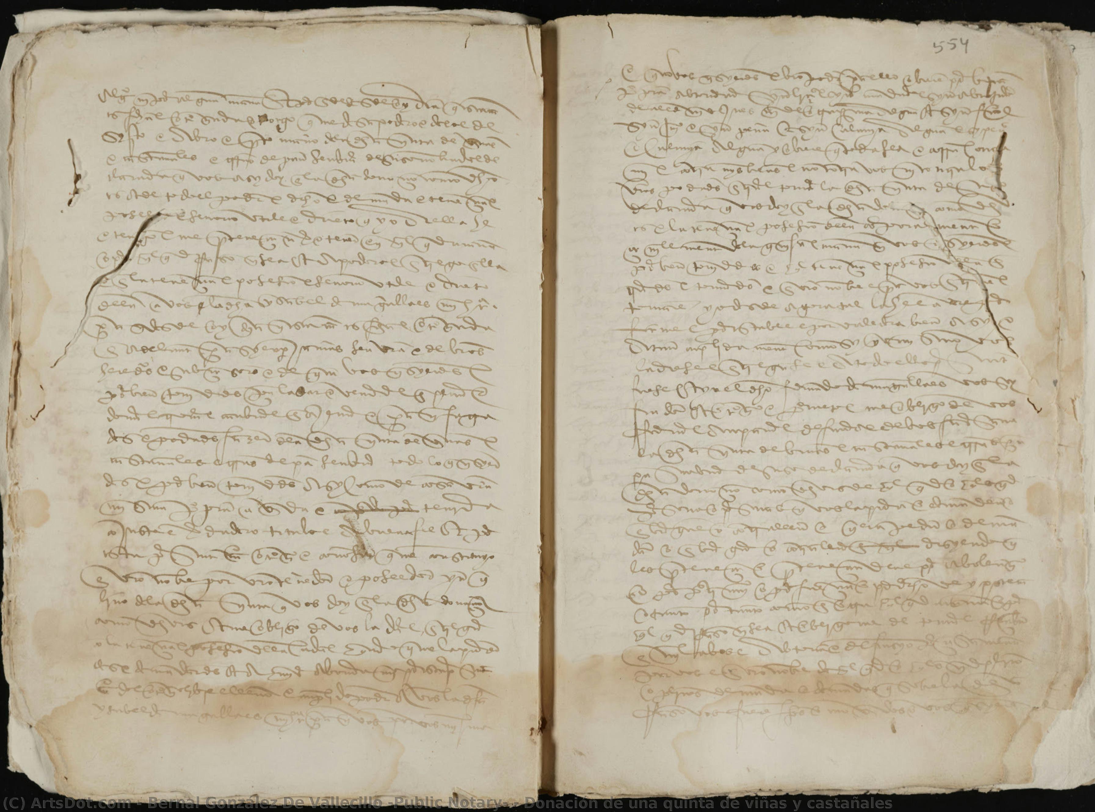 Donación De Una Quinta De Viñas Y Castañales — Bernal González De Vallecillo (public Notary)