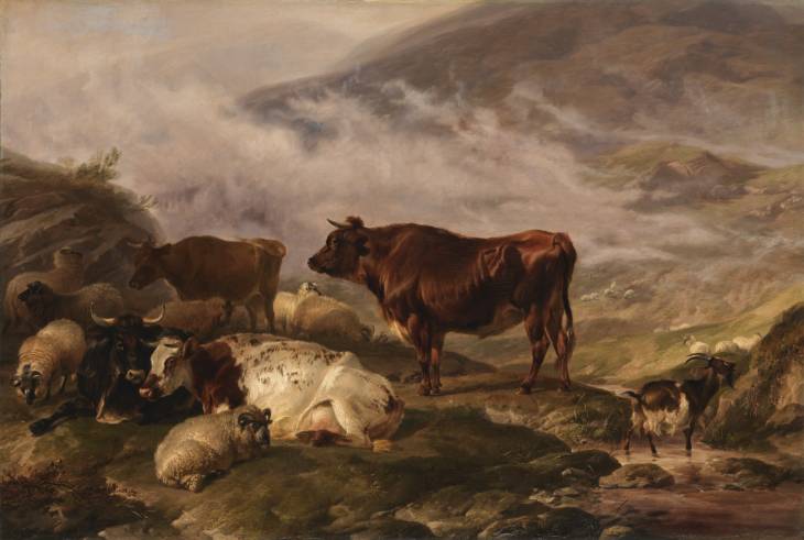 Among The Cumberland Mountains - Mist Clearing Off — Tomas Sidni Kuper