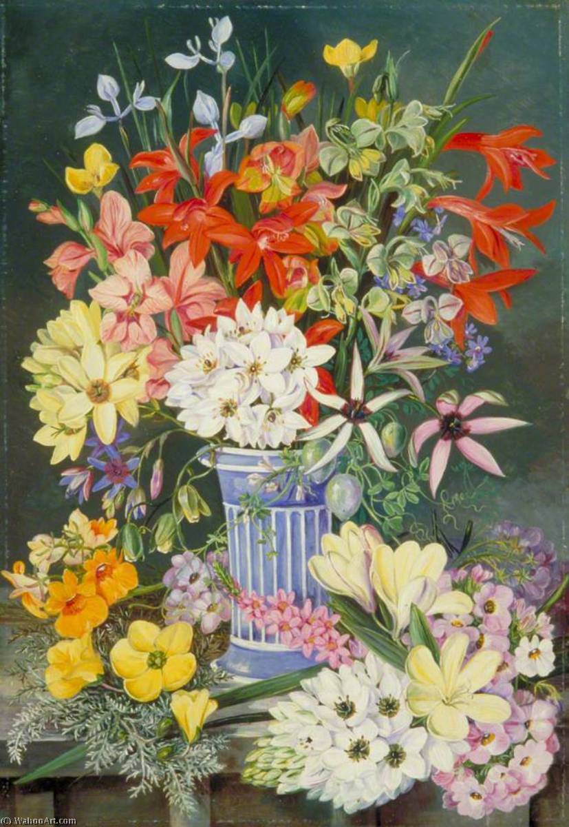 Old Dutch Vase And South African Flowers — Marijana Nort