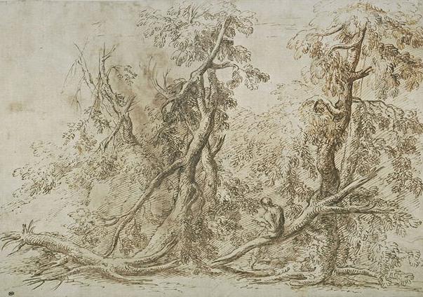 Man Holding A Book In A Timber Covered With Dead Trunks — Salvator Rosa