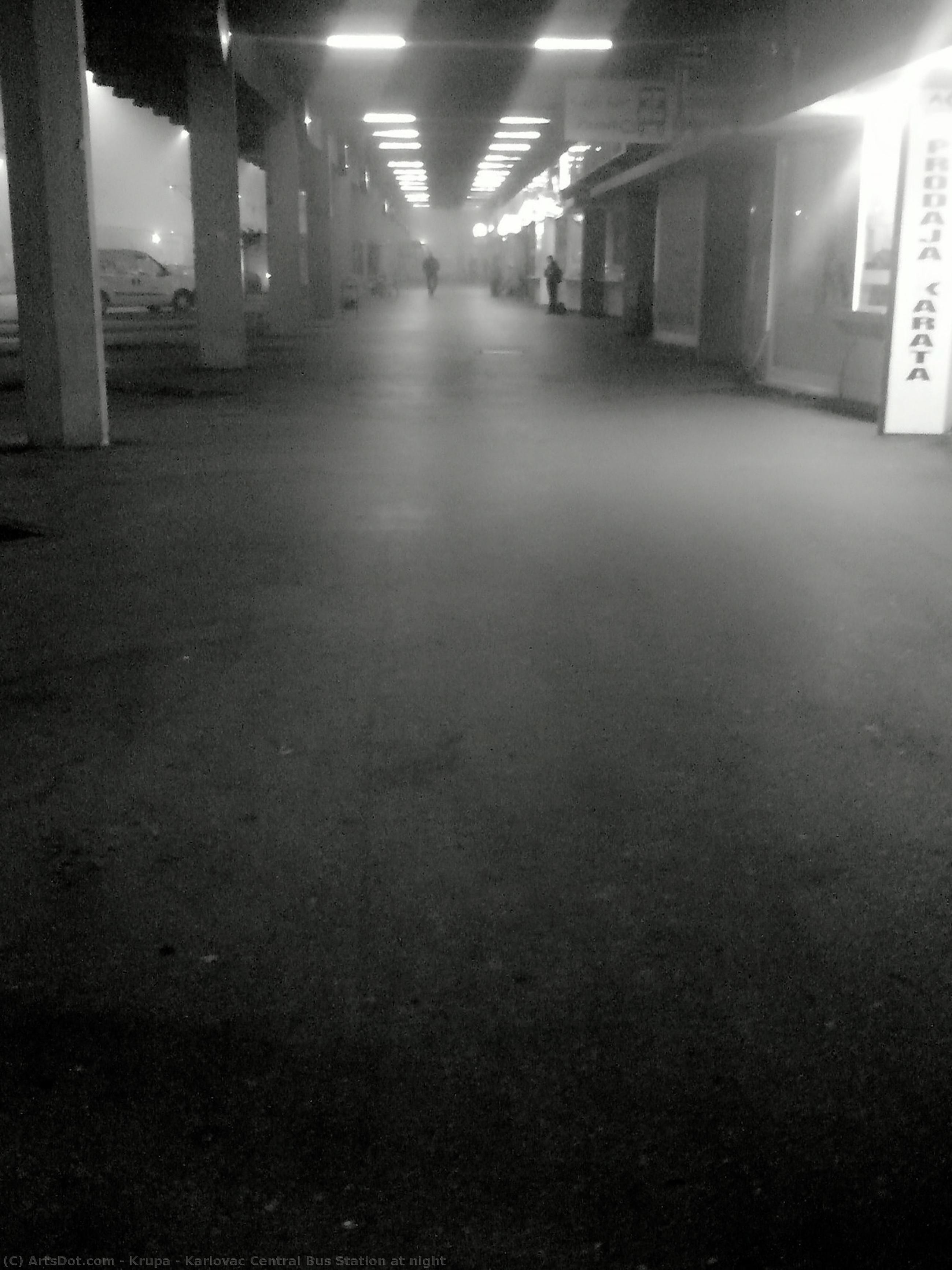 Karlovac Central Bus Station At Night — Alfred Freddy Krupa