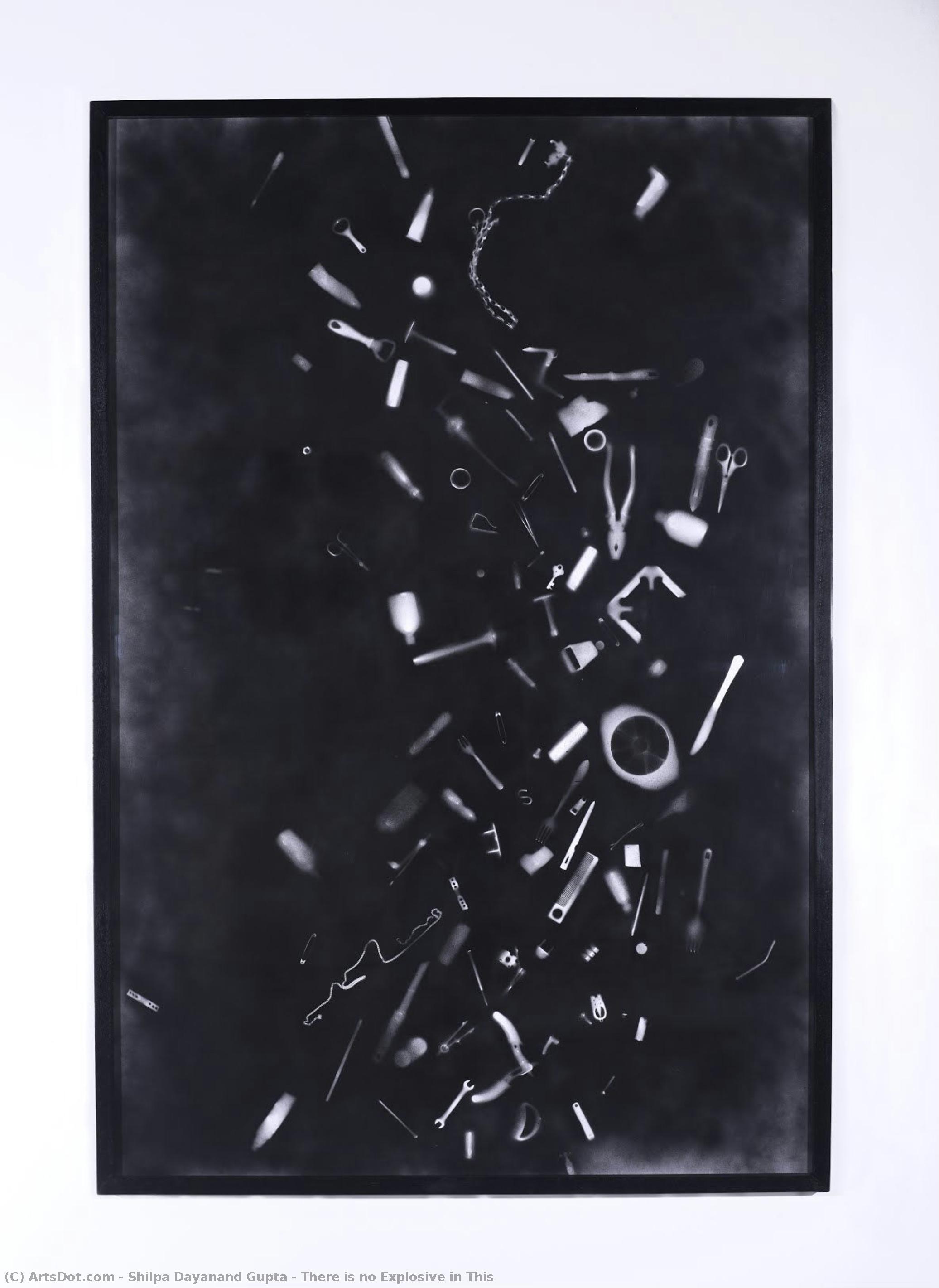 There Is No Explosive In This — Shilpa Dayanand Gupta