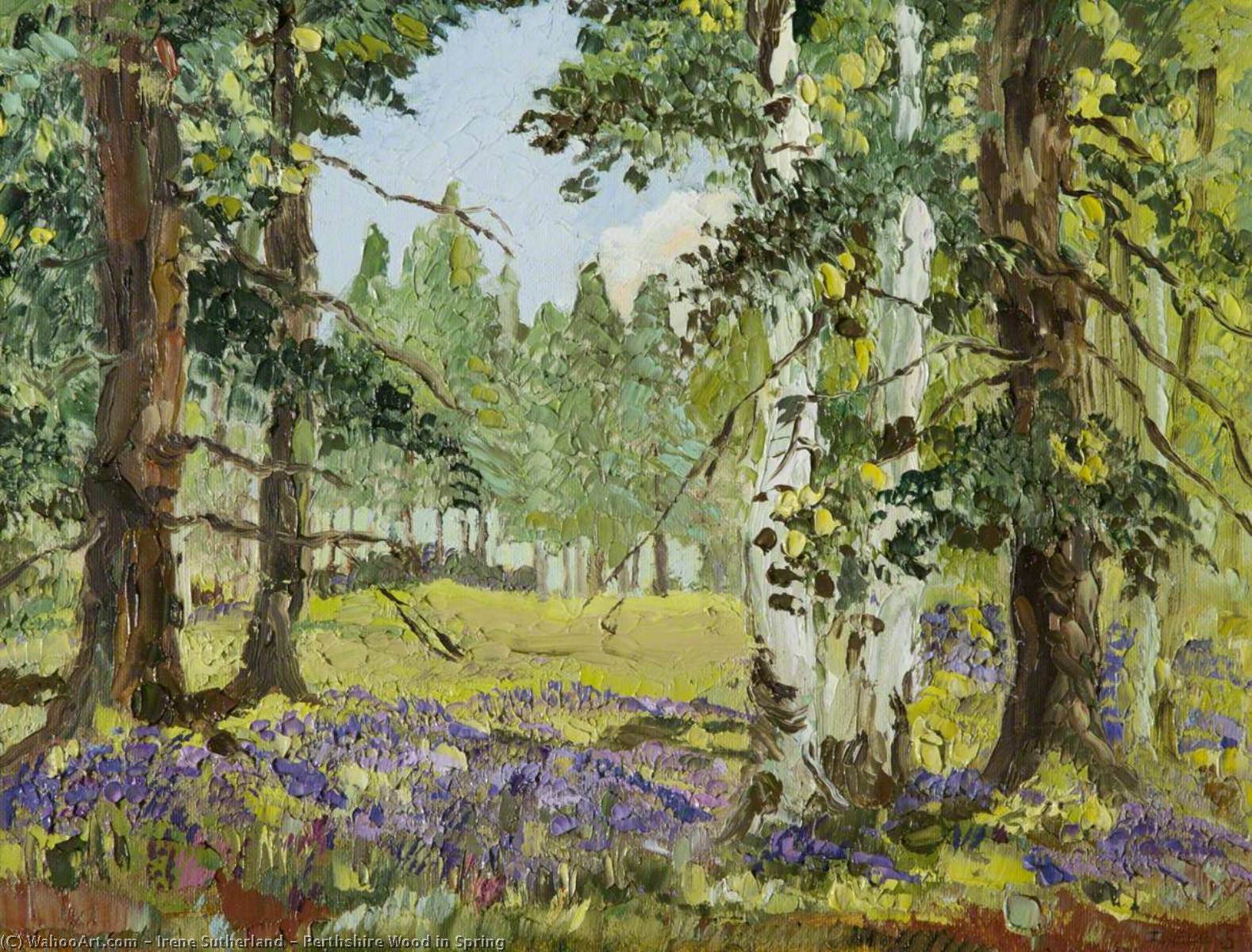 Perthshire Wood In Spring — Irene Sutherland