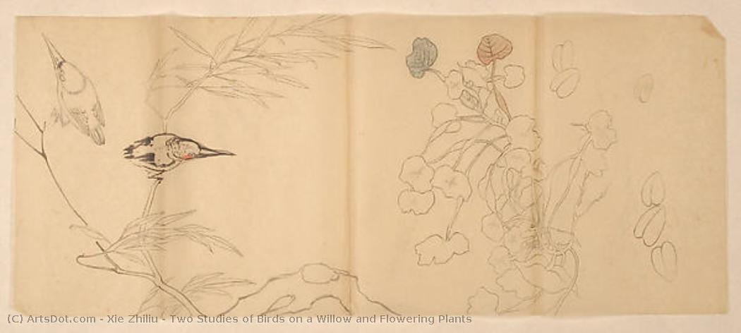Two Studies Of Birds On A Willow And Flowering Plants — Šie Žiliu