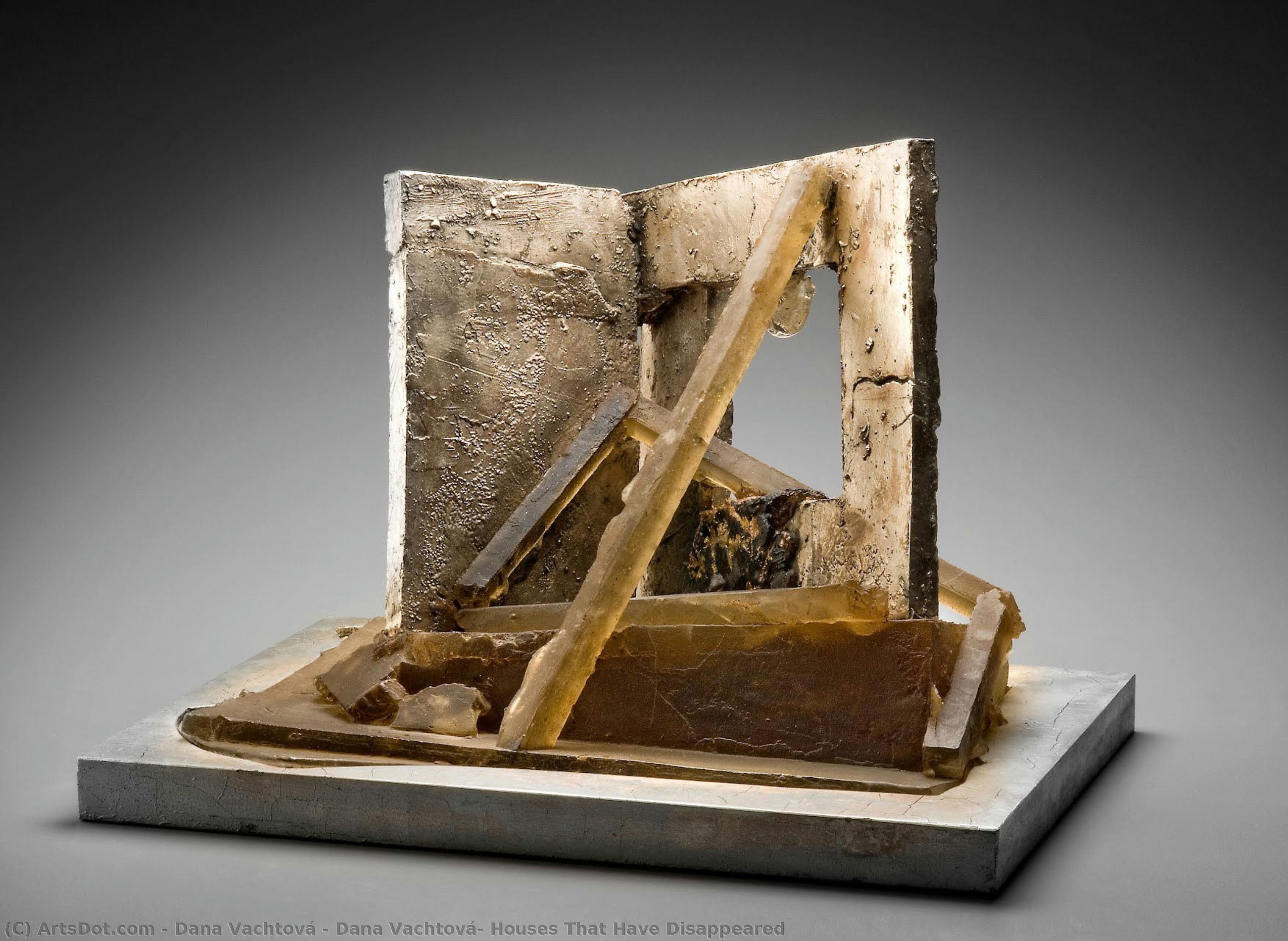 Dana Vachtová: Houses That Have Disappeared — Dana Vachtová