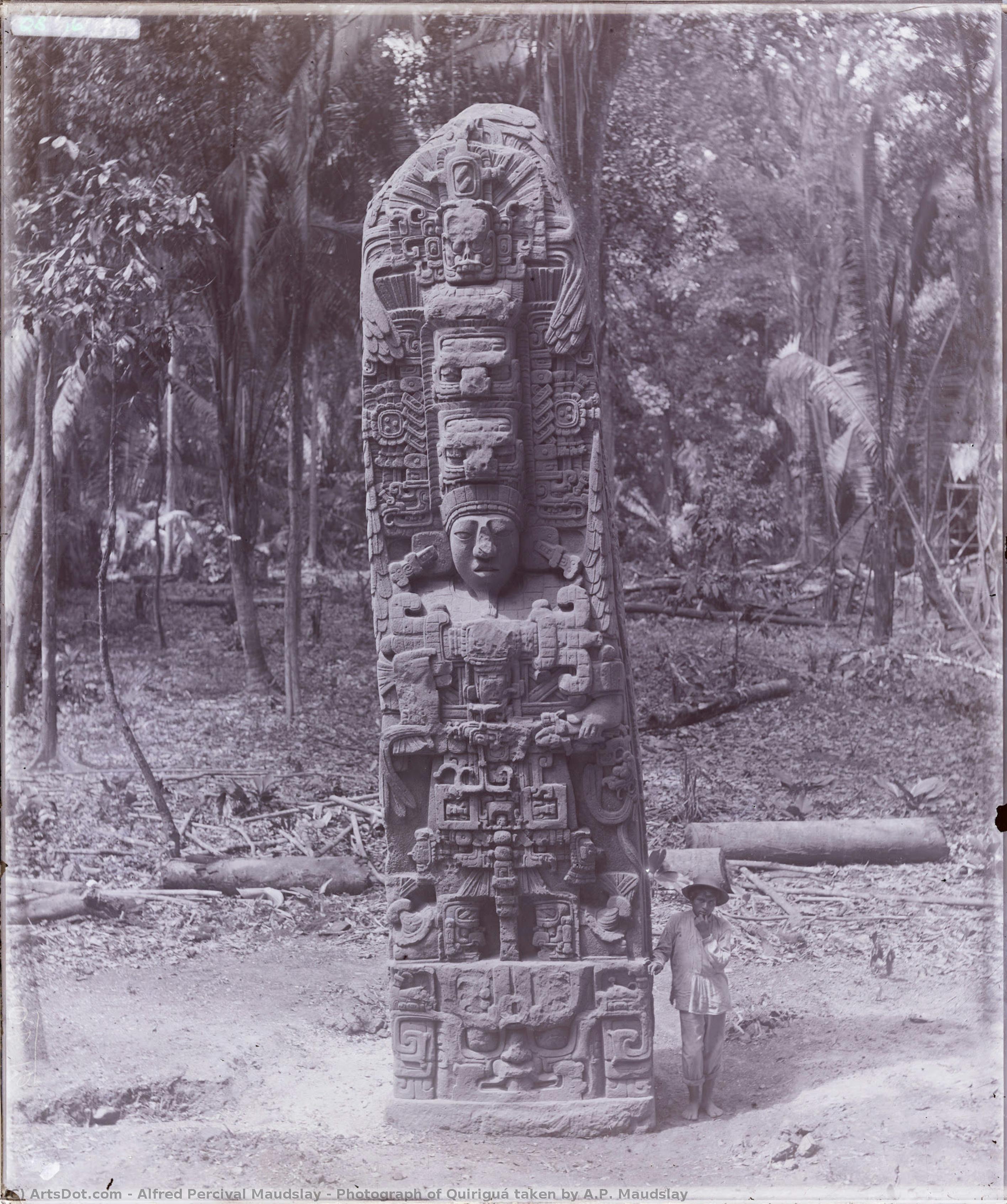 Photograph Of Quiriguá Taken By A.p. Maudslay — Alfred Percival Maudslay