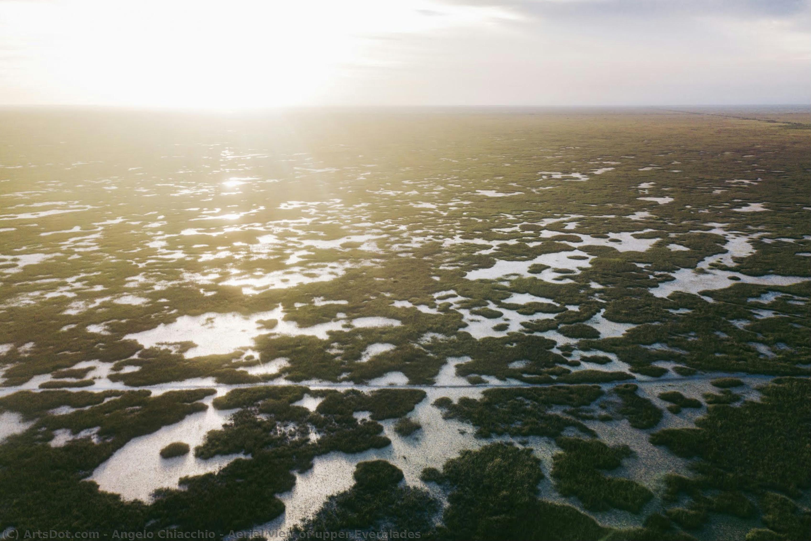 Aerial View Of Upper Everglades — Angelo Chiacchio