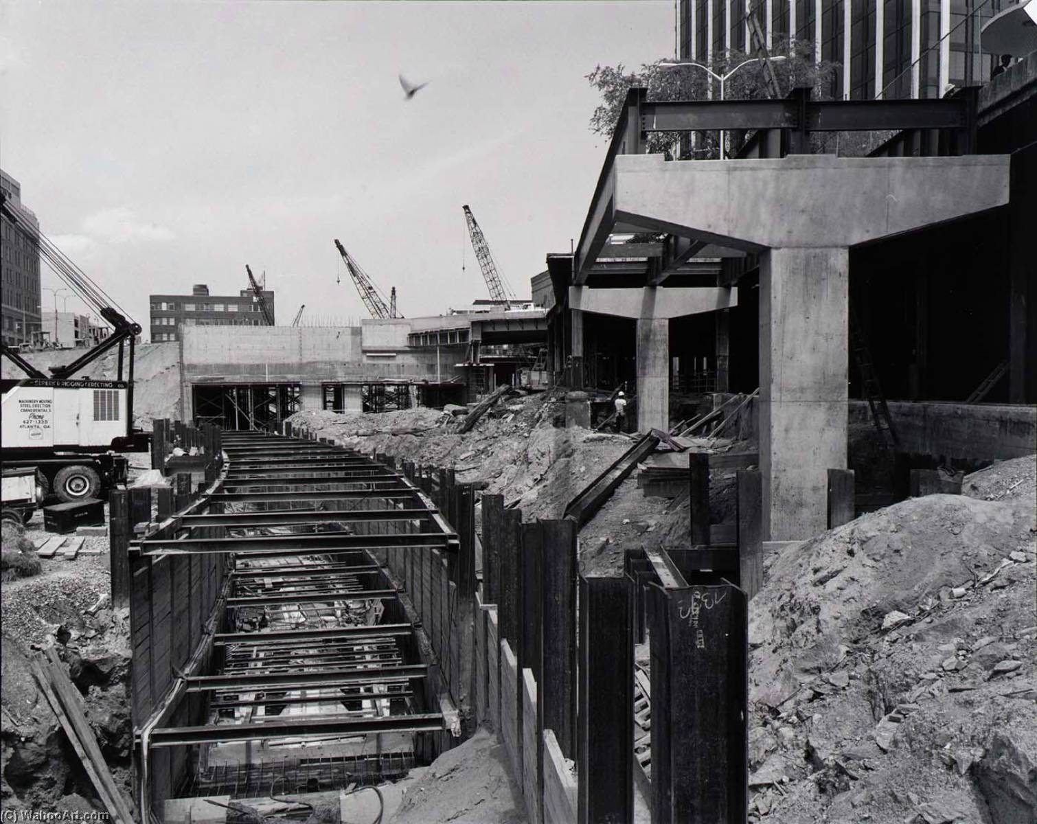 Untitled ( 22), Atlanta Historical Society — Martin Stupich