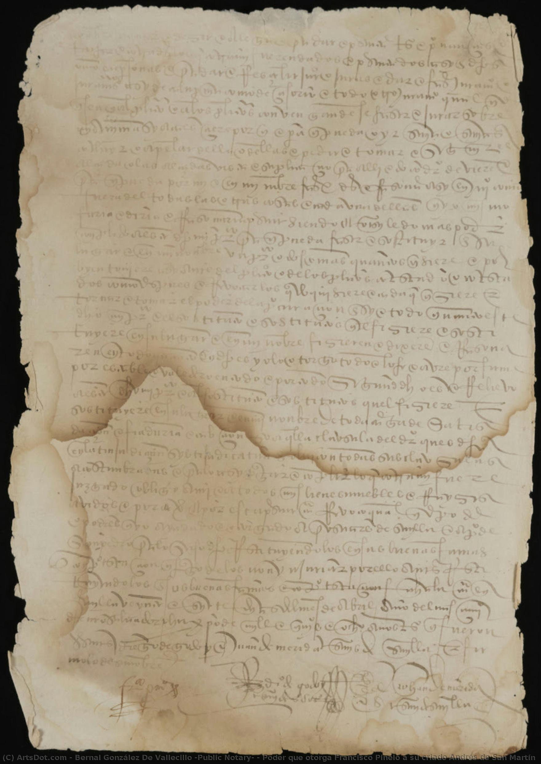 Poder Que Otorga Francisco Pinelo A Su Criado Andrés De San Martín — Bernal González De Vallecillo (public Notary)